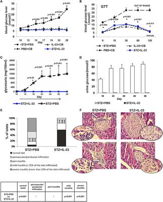 IL-33 Prevents MLD-STZ Induction of Diabetes and Attenuate Insulitis in Prediabetic NOD Mice